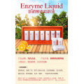 Enzyme esencia líquida